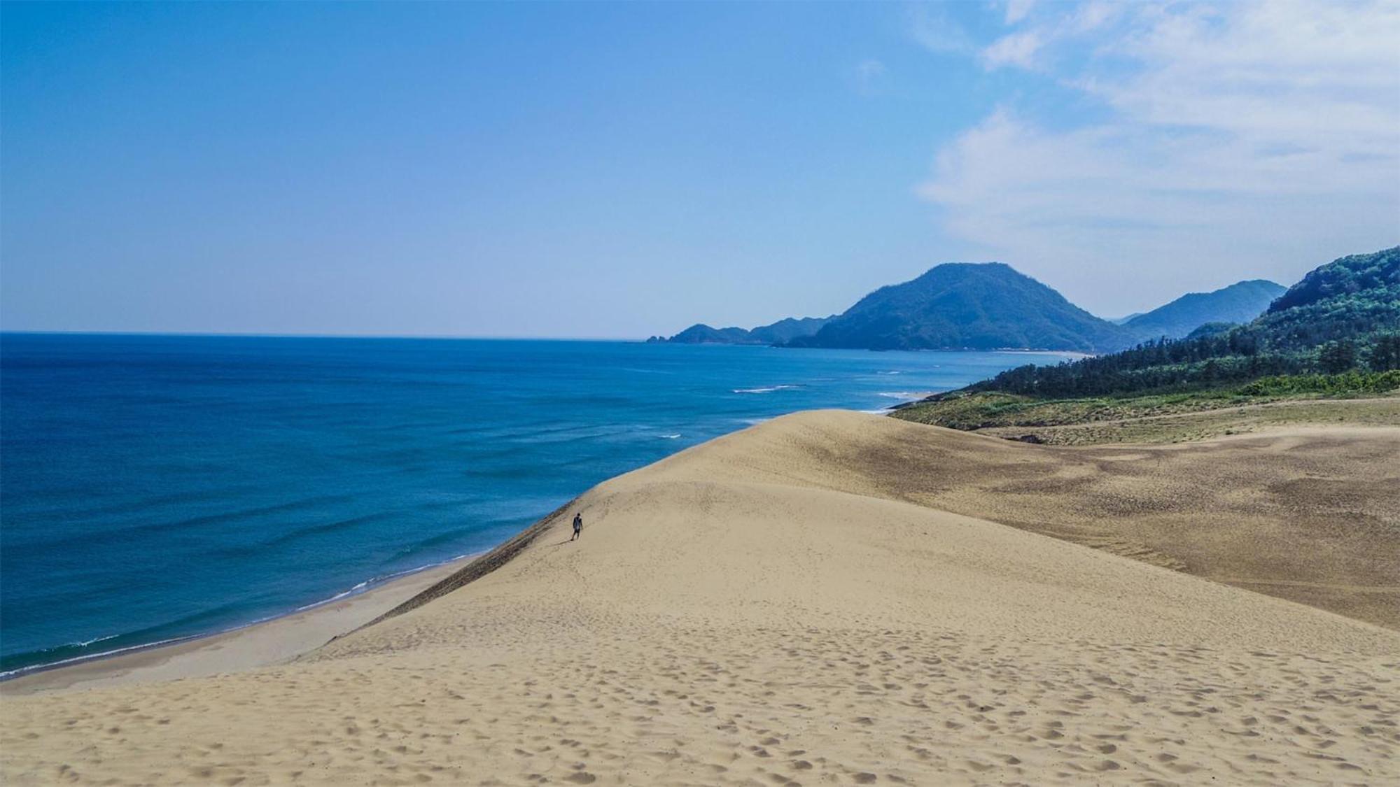 Toyoko Inn Tottori Eki Minami Guchi Εξωτερικό φωτογραφία